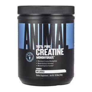 ANIMAL Creatine pure, 300g ANIMAL Creatine pure, 300g  фото